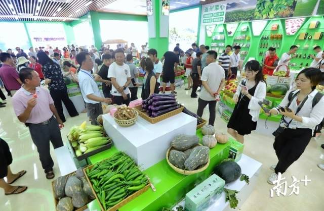 連州土壤硒含量豐富，富硒農(nóng)特產(chǎn)品吸引了眾人關注的目光。梁素雅 攝