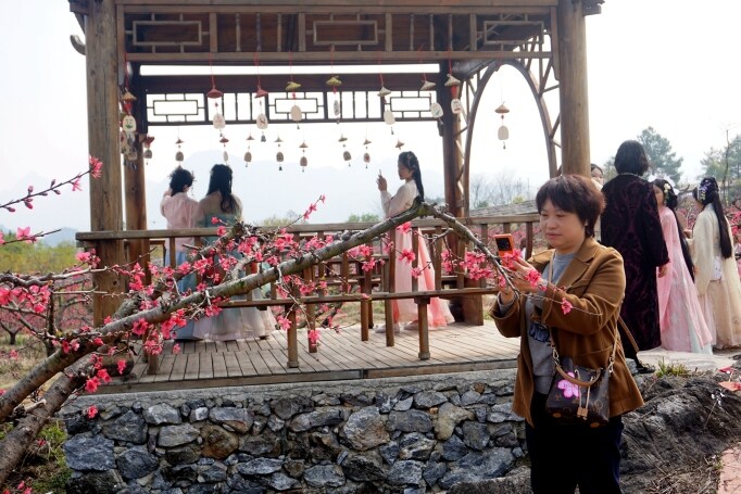 桃花節(jié)在九陂鎮(zhèn)開幕，迎來八方游客。清遠日報記者 周璐攝。