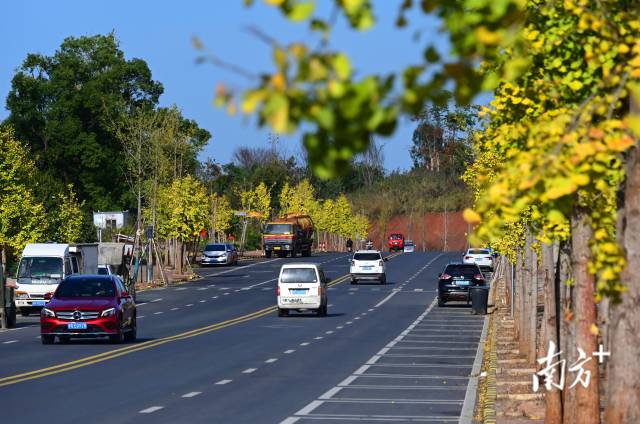 連州近5年累計投入20億元優(yōu)化升級交通設(shè)施。黃津 攝