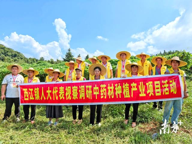 代表們實(shí)地調(diào)研，為產(chǎn)業(yè)振興培育新動(dòng)能。 西江鎮(zhèn) 供圖