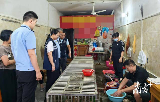 開展聯(lián)合檢查，為鳥類等野生動物撐起堅(jiān)實(shí)的“保護(hù)傘”。