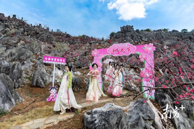 石林桃園依托獨特地貌打造，還布置了桃花主題打卡點。愛地旅游 供圖