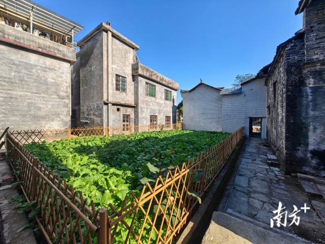 整潔美觀的西江鎮(zhèn)外塘村。西江鎮(zhèn) 供圖